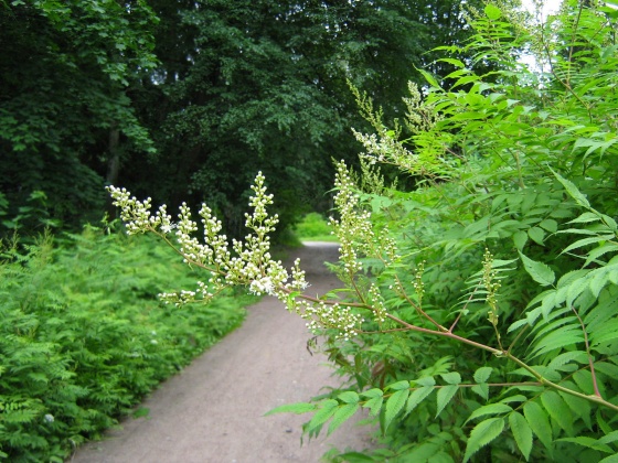 picsdesktopnet_154